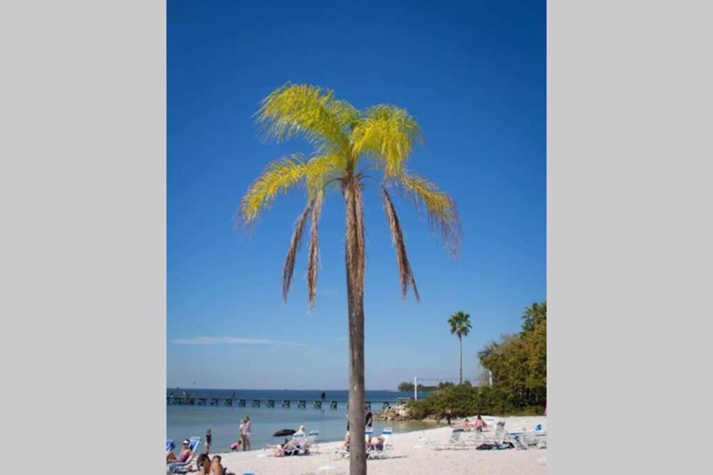 Sea Breeze, Studio 510, Beach Steps Away!+Pool+Wifi Ruskin Bagian luar foto