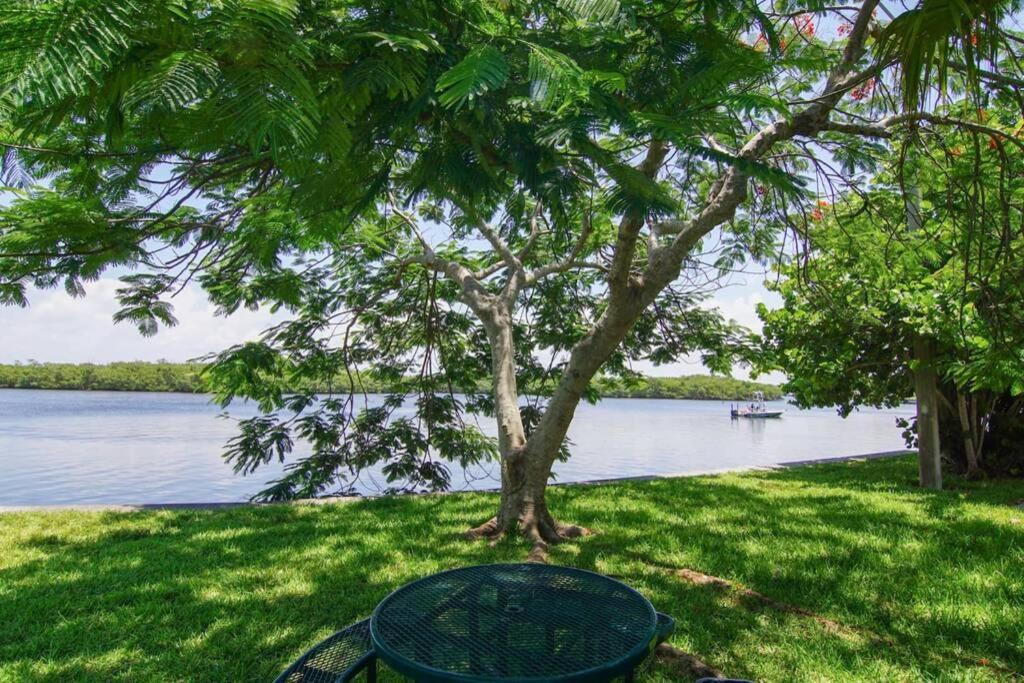 Sea Breeze, Studio 510, Beach Steps Away!+Pool+Wifi Ruskin Bagian luar foto